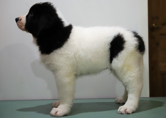 Kuva: Irmeli Maunonen-Eskelinen