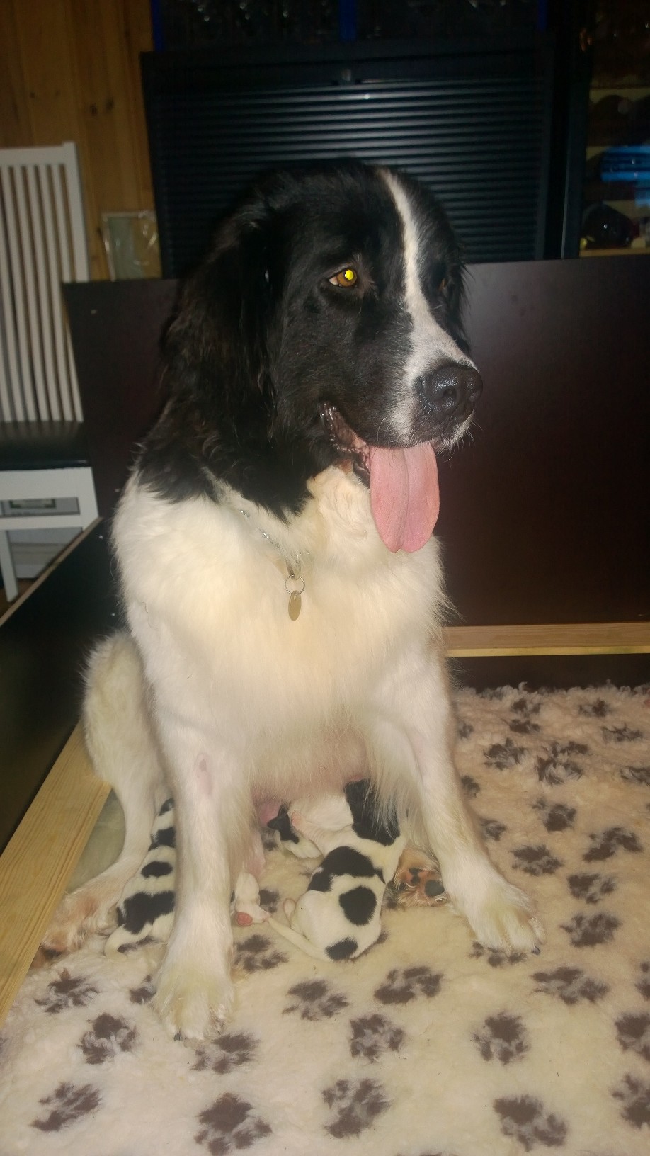 Iatuenkin voi imett&auml;&auml;