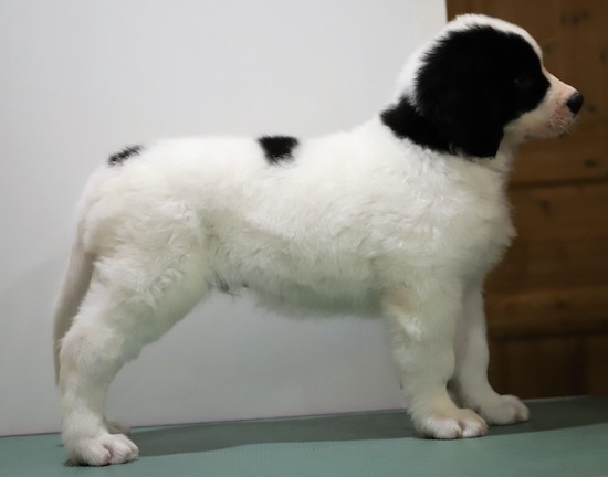 Kuva: Irmeli Maunonen-Eskelinen