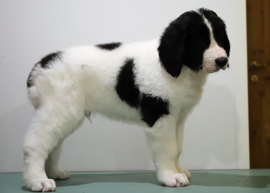 Kuva: Irmeli Maunonen-Eskelinen