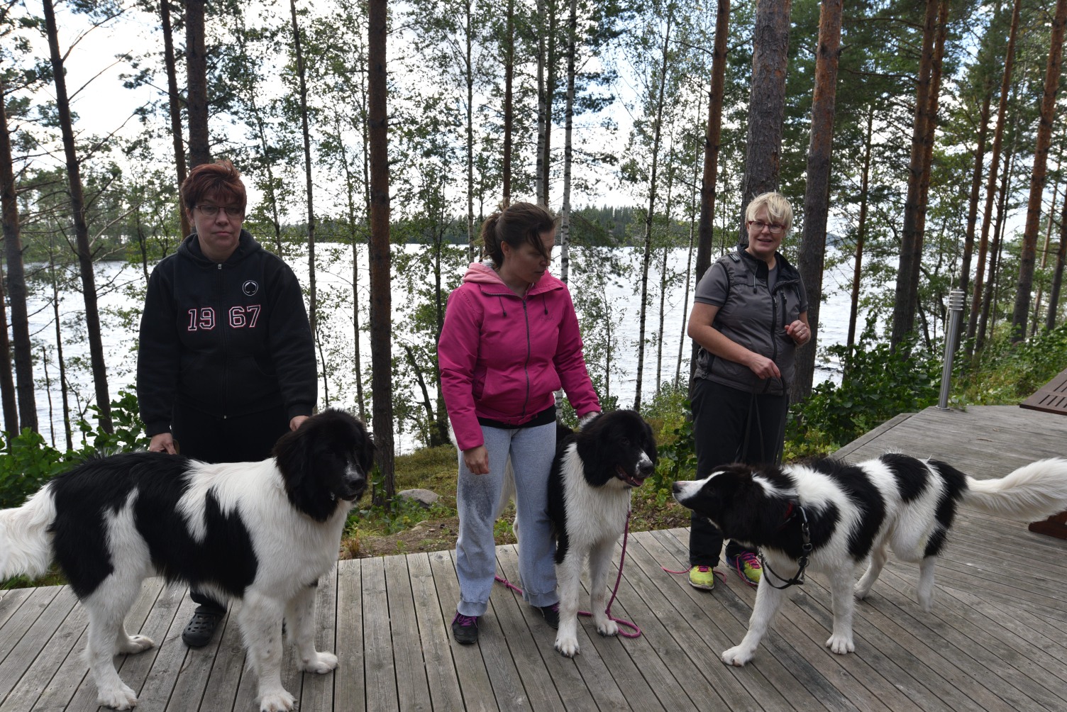Vepe-junnut Selma, Mimmi ja Nuoli