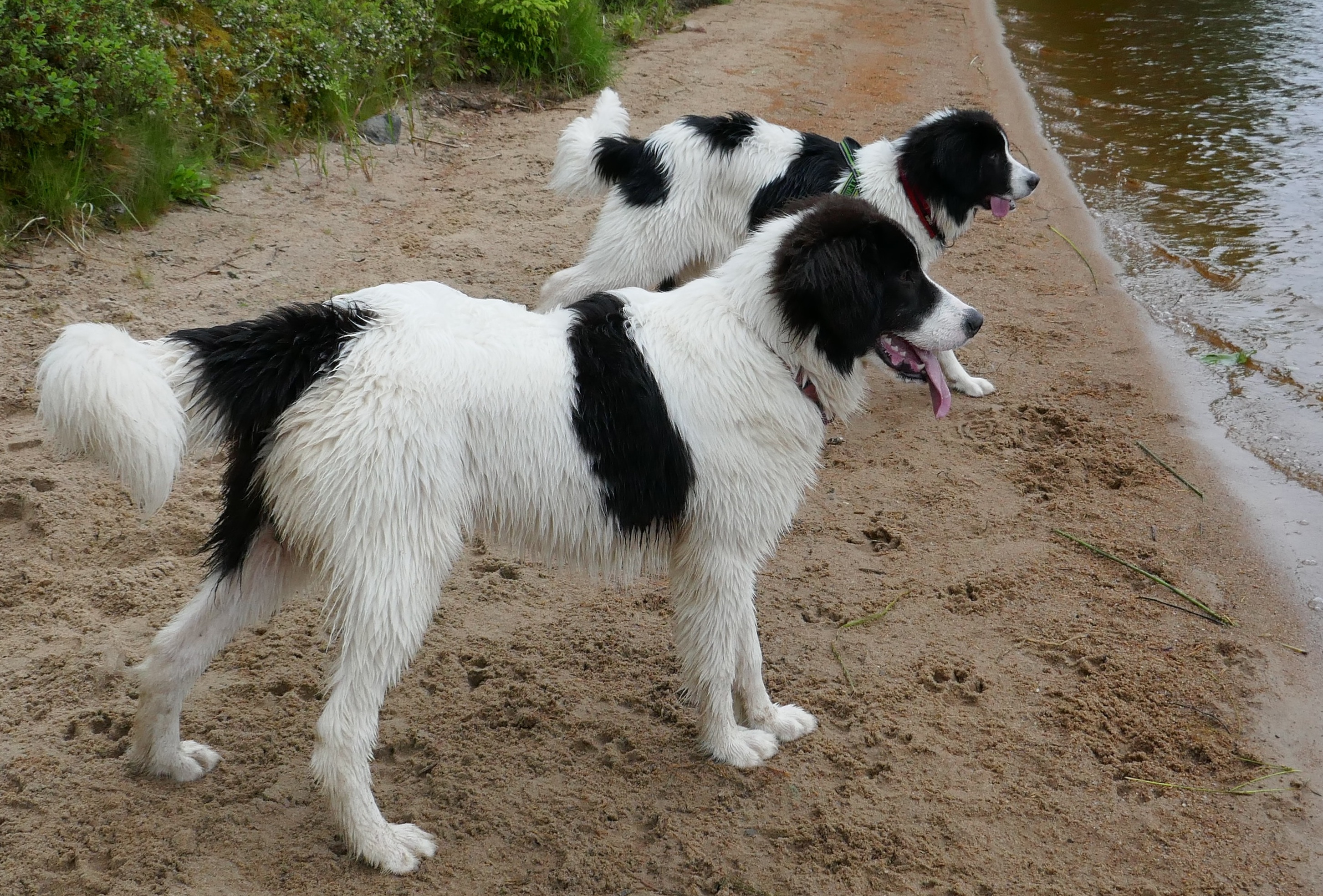 Aavan ja Nuolen vesileikit Keuruulla