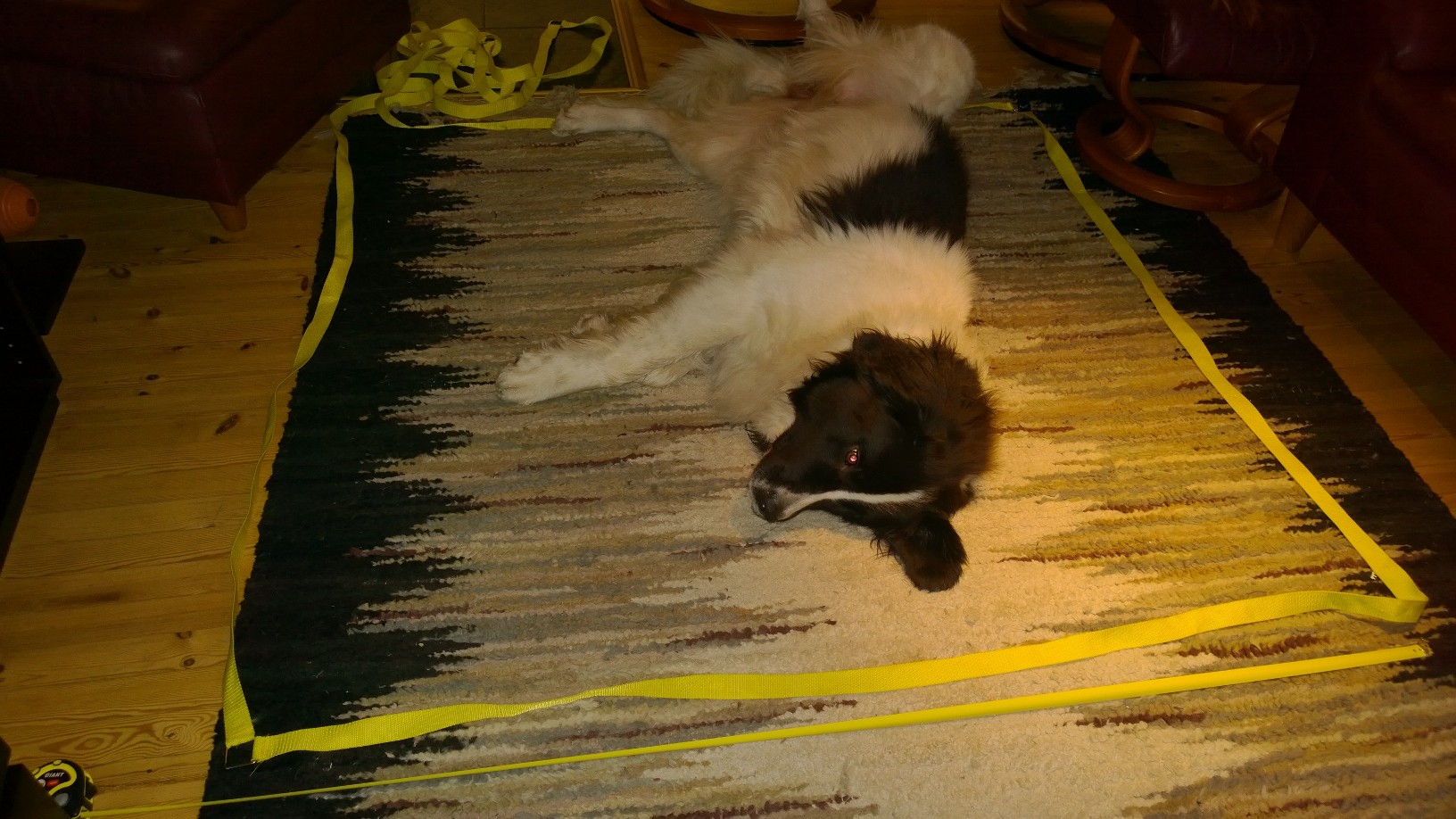 Taikan testaa pentulaatikon mallia