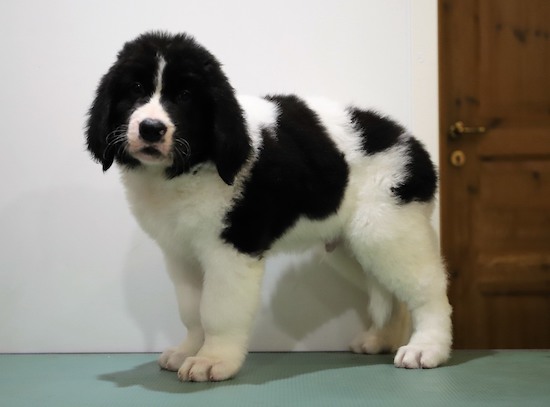 Kuva: Irmeli Maunonen-Eskelinen