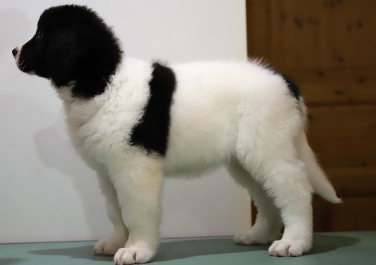 Kuva: Irmeli Maunonen-Eskelinen