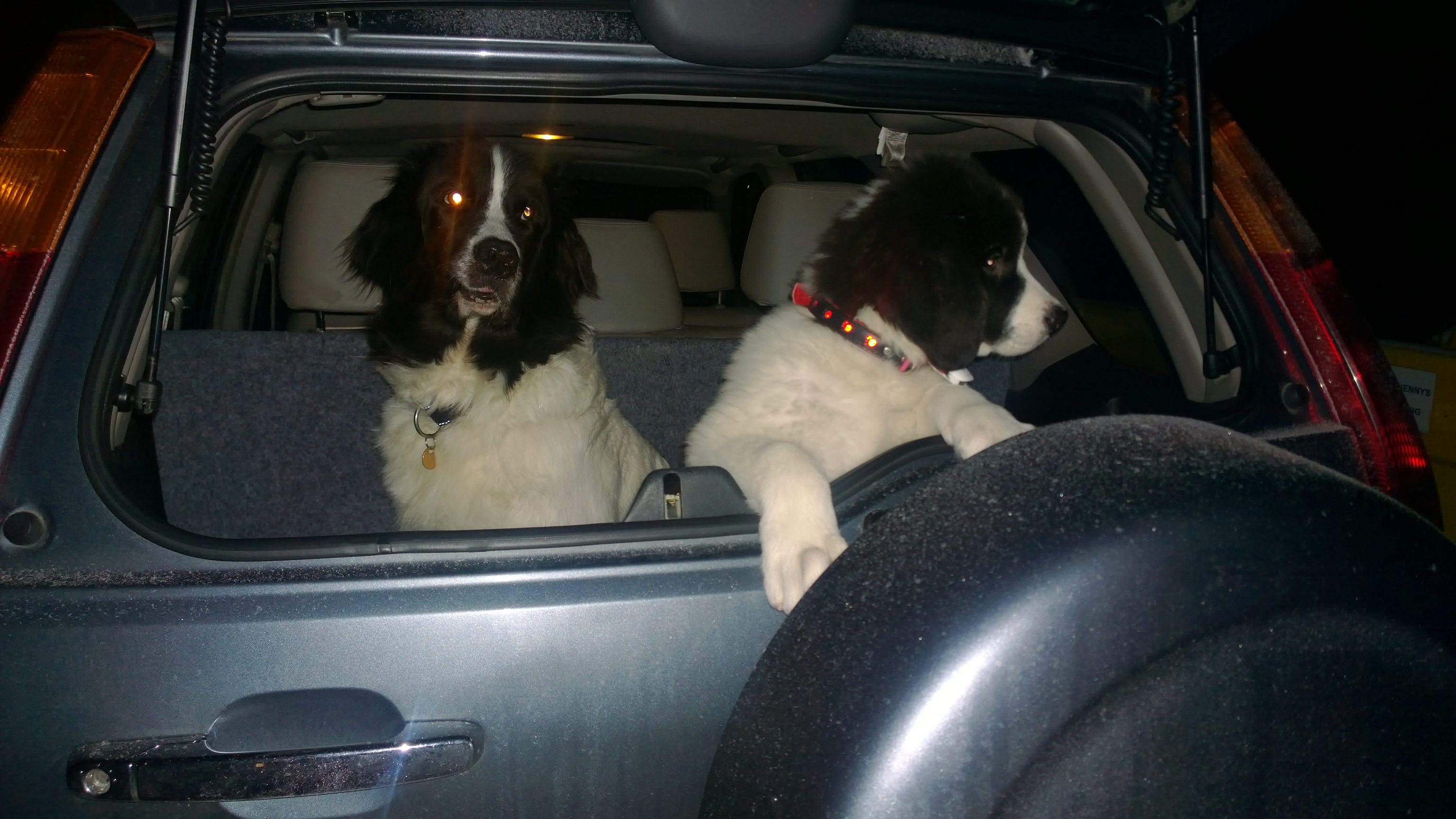 Nuolen ensimm&auml;inen lossimatka